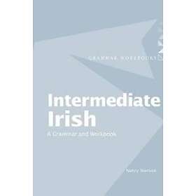Intermediate Irish: A Grammar And Workbook
