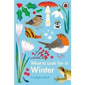What To Look For In Winter