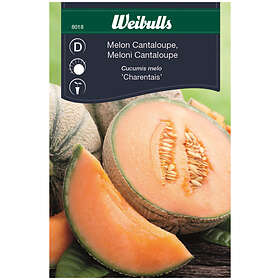 Weibulls Melon Cantaloupe 