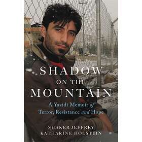 Shadow On The Mountain