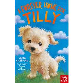 A Forever Home For Tilly