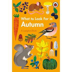 What To Look For In Autumn