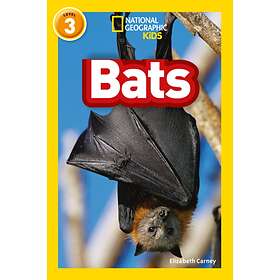 Bats