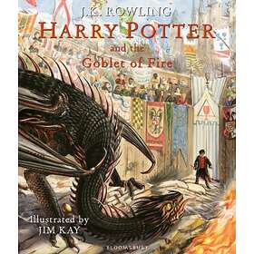 4 book of 2024 harry potter