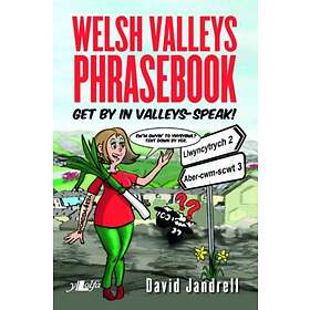 Welsh Valleys Phrasebook Get By In Valleys-Speak!
