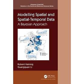 Modelling Spatial And Spatial-Temporal Data