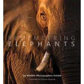 Remembering Elephants