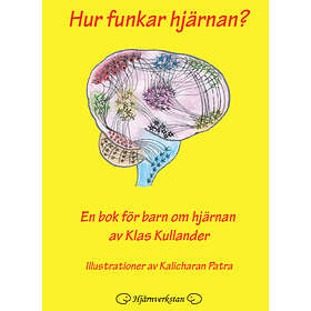 How Does The Brain Work? : A Book For Kids About