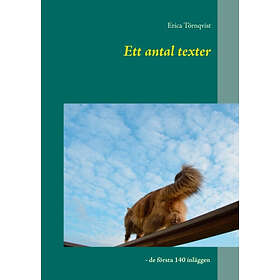 Ett Antal Texter : De Första 140 Inläggen