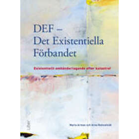 DEF Det Existentiella Förbandet : Existentiellt Omhändertagande Efter Katastrof