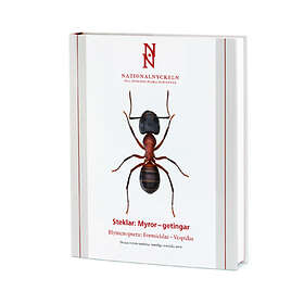 Steklar : Myror Getingar. Hymenoptera Formicidae Vespidae