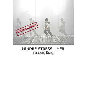 Mindre Stress : Mer Framgång