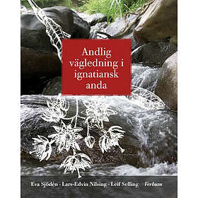 Andlig Vägledning I Ignatiansk Anda