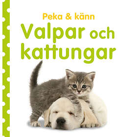 Peka & Känn : Valpar Och Kattungar
