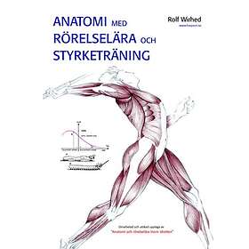Anatomi Med Rörelselära Och Styrketräning