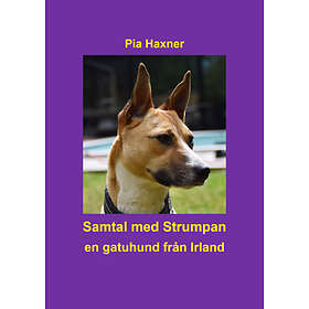 Samtal Med Strumpan : En Gatuhund Från Irland