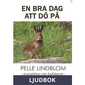 En Bra Dag Att Dö På
