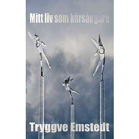 Mitt Liv Som Körsångare : Jakten På Ett Dreamteam