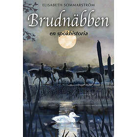 Brudnäbben