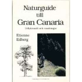 Naturguide Till Gran Canaria Utflyktsmål Och Vandringar