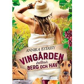 Vingården Mellan Berg Och Hav