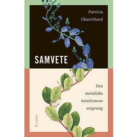 Samvete : Den Moraliska Intuitionens Ursprung