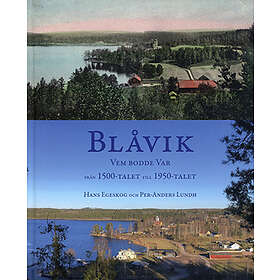 Blåvik, Vem Bodde Var, Från 1500-talet Till 1950-talet