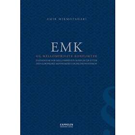 EMK Og Mellomprivate Konflikter. Statsansvar For Konflikter Etter Den Europeiske
