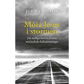Möta Jesus I Stormen: Om Livet Som Kristen Med Psykiska Hälsoutmaningar