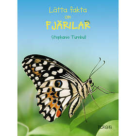 Lätta Fakta Om Fjärilar
