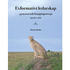 Exformativt Ledarskap : 49 Nyanserade Framgångsrecept