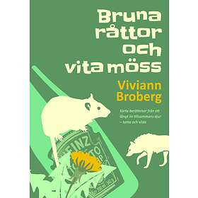 Bruna Råttor Och Vita Möss