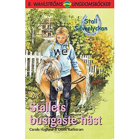 Stallets Busigaste Häst