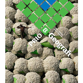 PRIO Geografi Grundbok 8