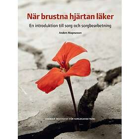 När Brustna Hjärtan Läker : En Introduktion Till Sorg Och Sorgbearbetning