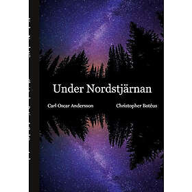 Under Nordstjärnan
