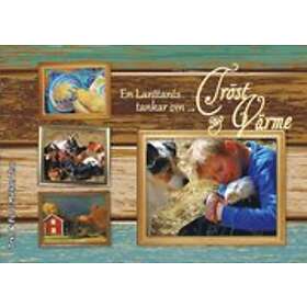 En Lanttants Tankar Om Tröst & Värme