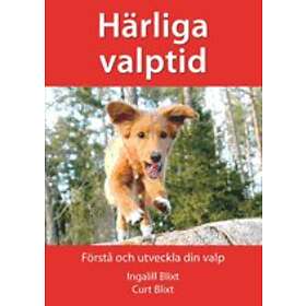 Härliga Valptid Förstå Och Utveckla Din Valp
