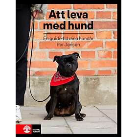 Att Leva Med Hund : En Guide Till Dina Hundår