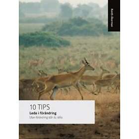 Leda I Förändring : Full Fart Framåt