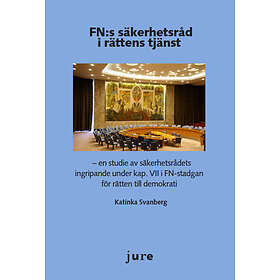 FN:s Säkerhetsråd I Rättens Tjänst En Studie Av Säkerhetsrådets Ingripande Under Kap. VII FN-stadgan För Rätten Till Demokrati