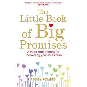 The Little Book Of Big Promises: A Three-Step Process For Uncovering Your Soul's
