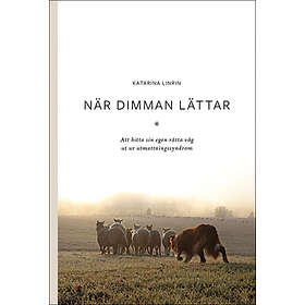När Dimman Lättar : Att Hitta Sin Egen Rätta Väg Ut Ur Utmattningssyndrom