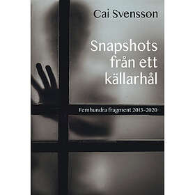 Snapshots Från Ett Källarhål