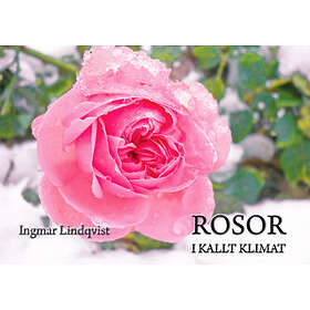 Rosor I Kallt Klimat