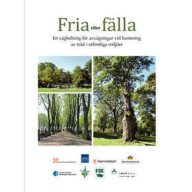 Fria Eller Fälla : En Vägledning För Avvägningar Vid Hantering Av Träd I Offentliga Miljöer