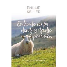 En Herde Ser På Den Tjugotredje Psalmen