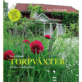 Våra Älskade Torpväxter Och Hur Vi Odlar Dem