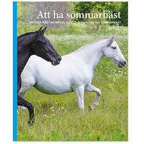 Att Ha Sommarhäst