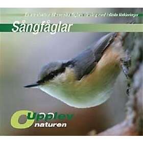 Sångfåglar : En Introduktion Till Svenska Fåglars Vårsång Med Inlästa Förklaringar